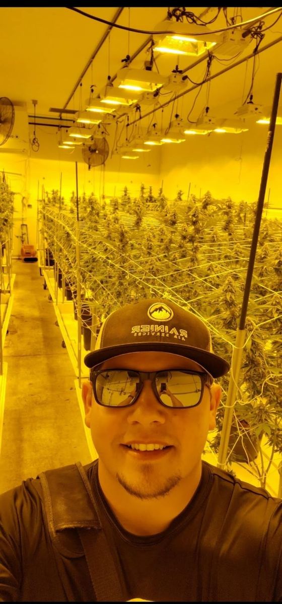 Cannabis Farm Climate Control for Rainier Air Services in Kent, WA