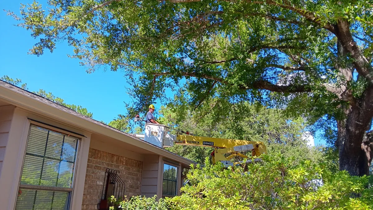 Tree Services for Southern Venom Services in Daphne, AL