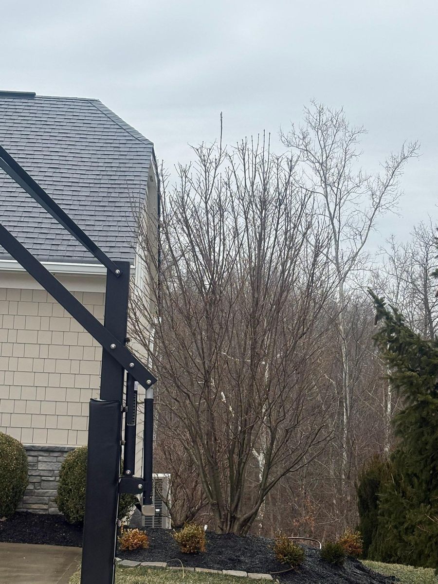 Fall Clean Up for Dig-It Tree Company in Mason, OH