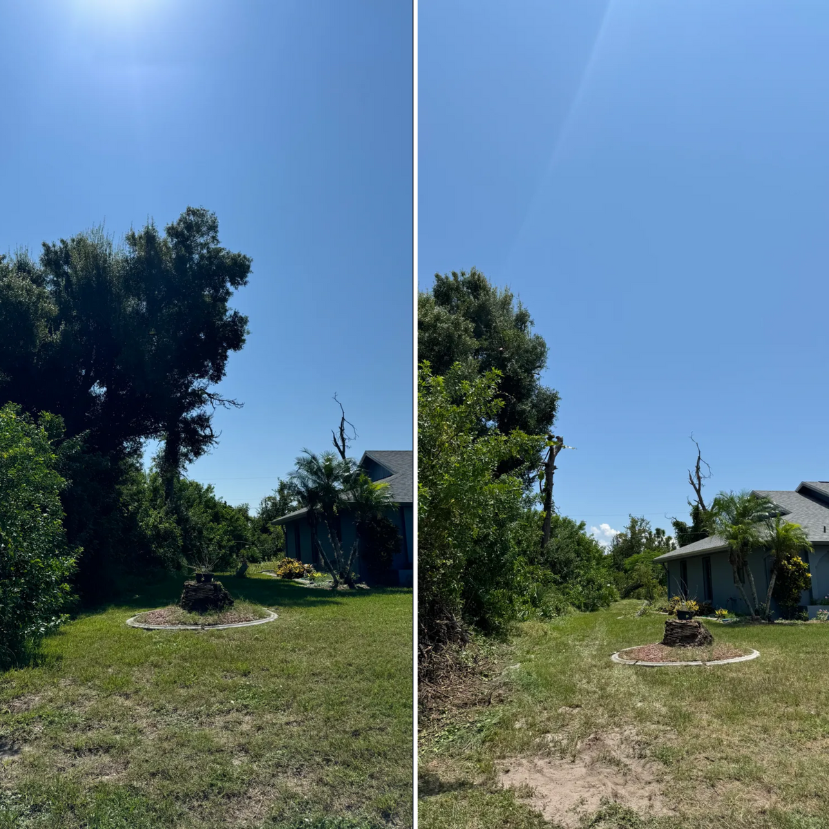 Tree Trimming for Lemon Bay Tree Service  in Englewood, FL