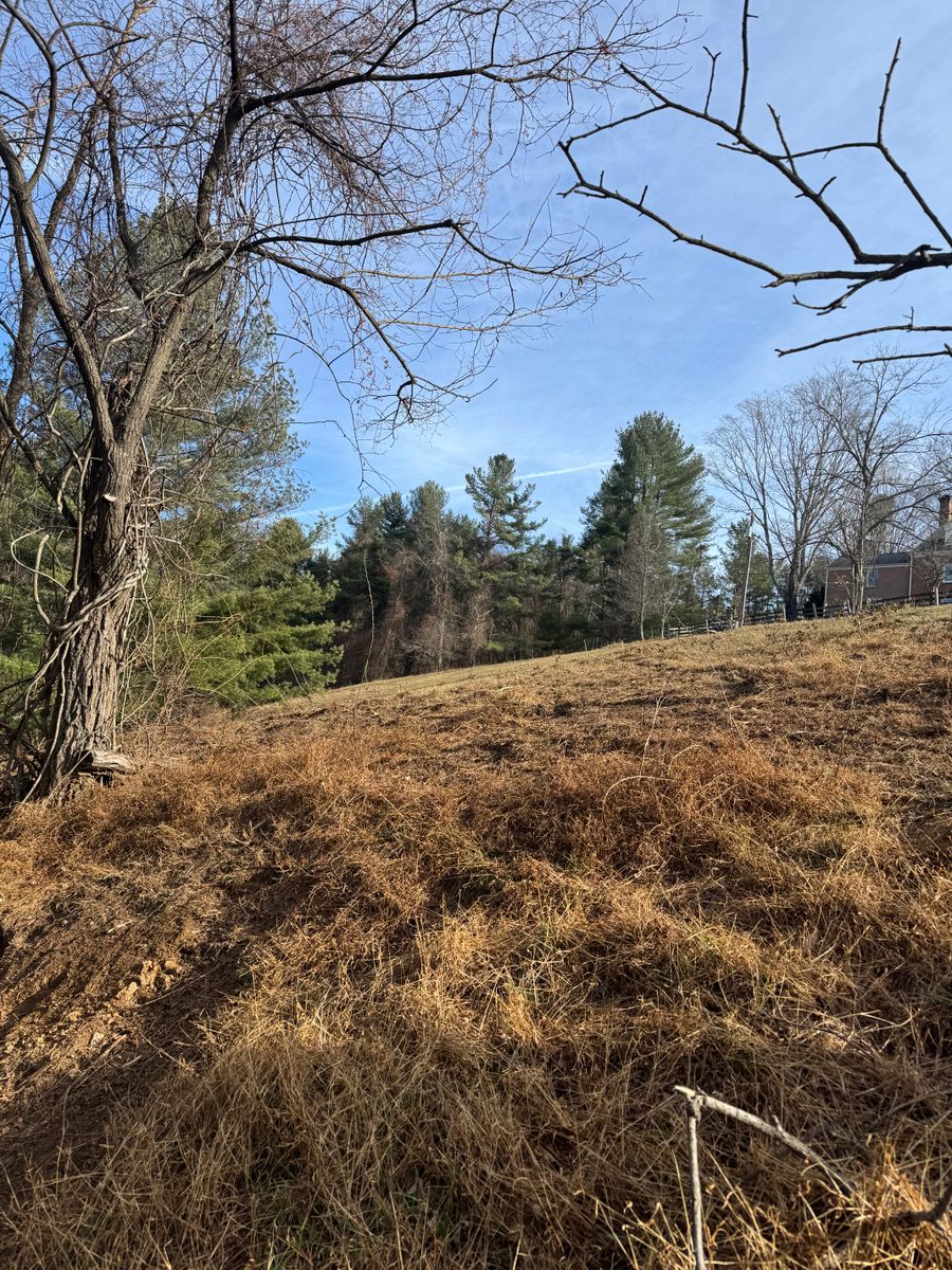 Steep Slope Mowing for Mountain Goat Land Management in Galax, VA
