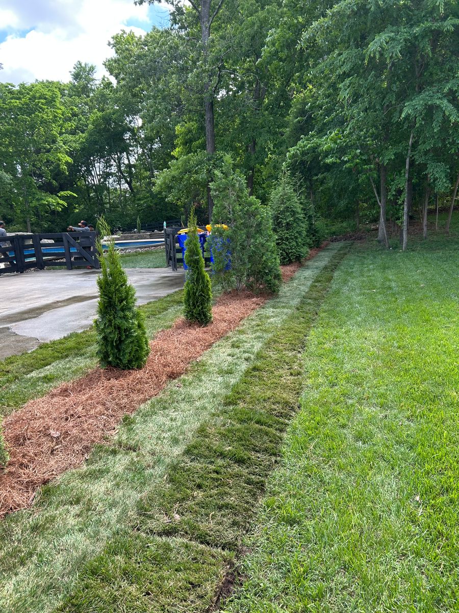 Mulch Installation for Optimum Tree Service And Landscaping in Bowling Green, KY