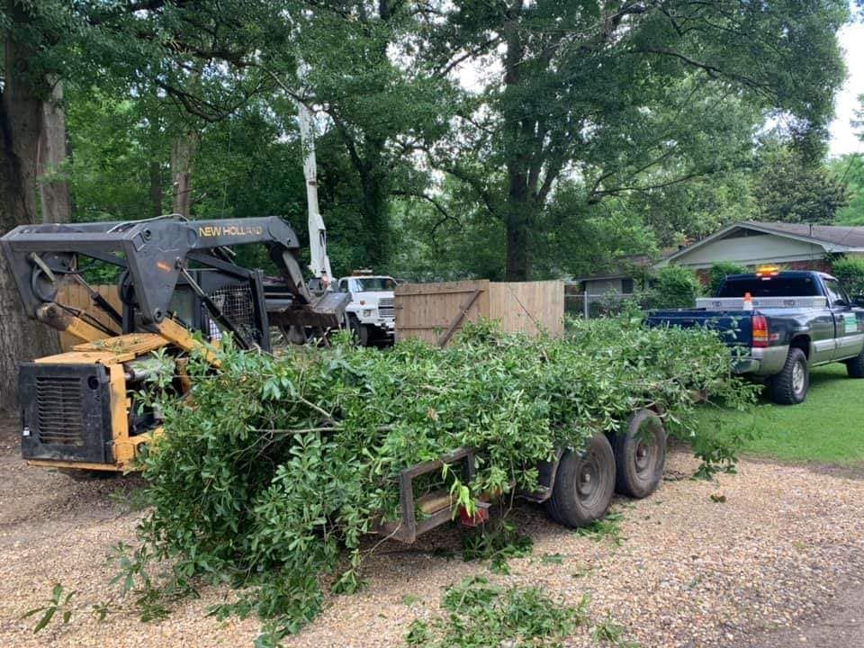 Debris Removal for Action Tree & Debris Removal in Jackson,  MS