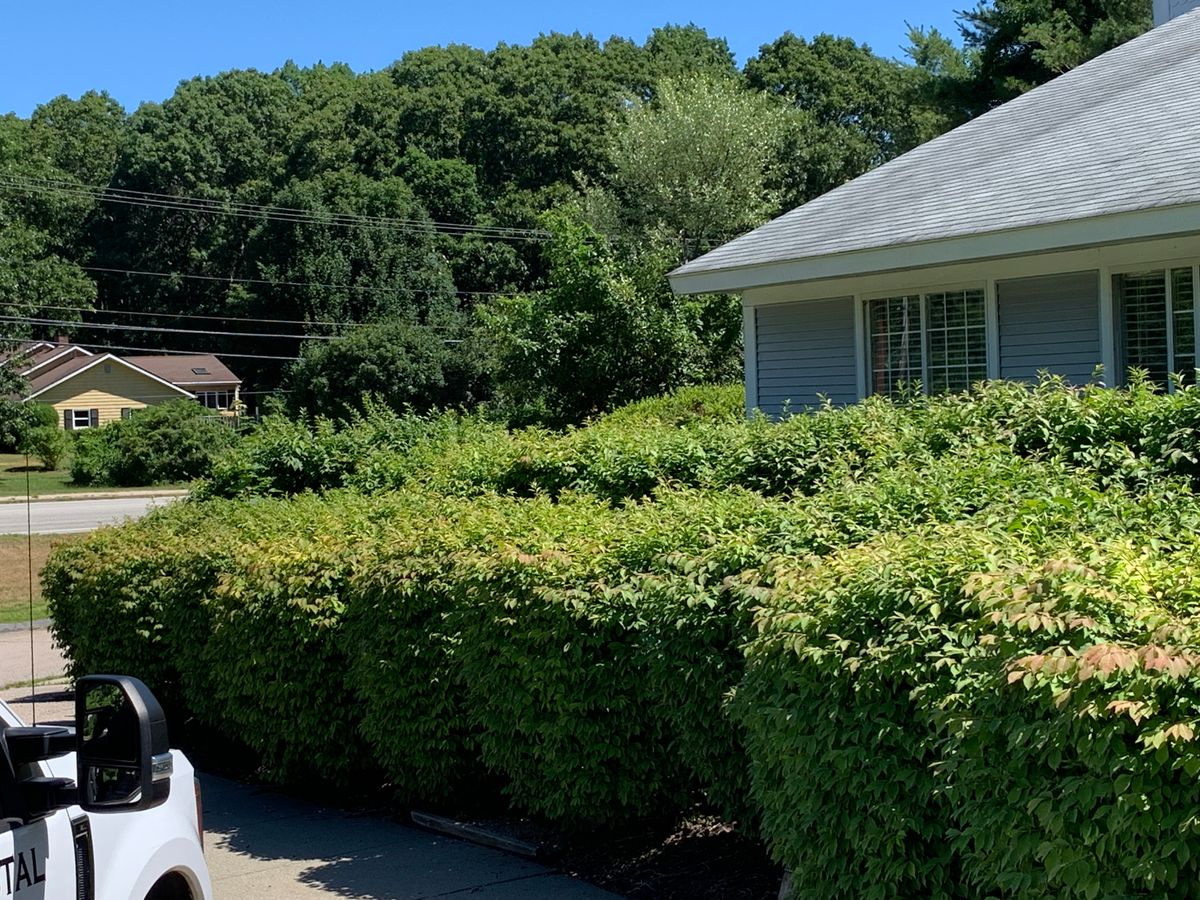 Hedge Trimming for Murray Mowing and More in Ashaway, RI