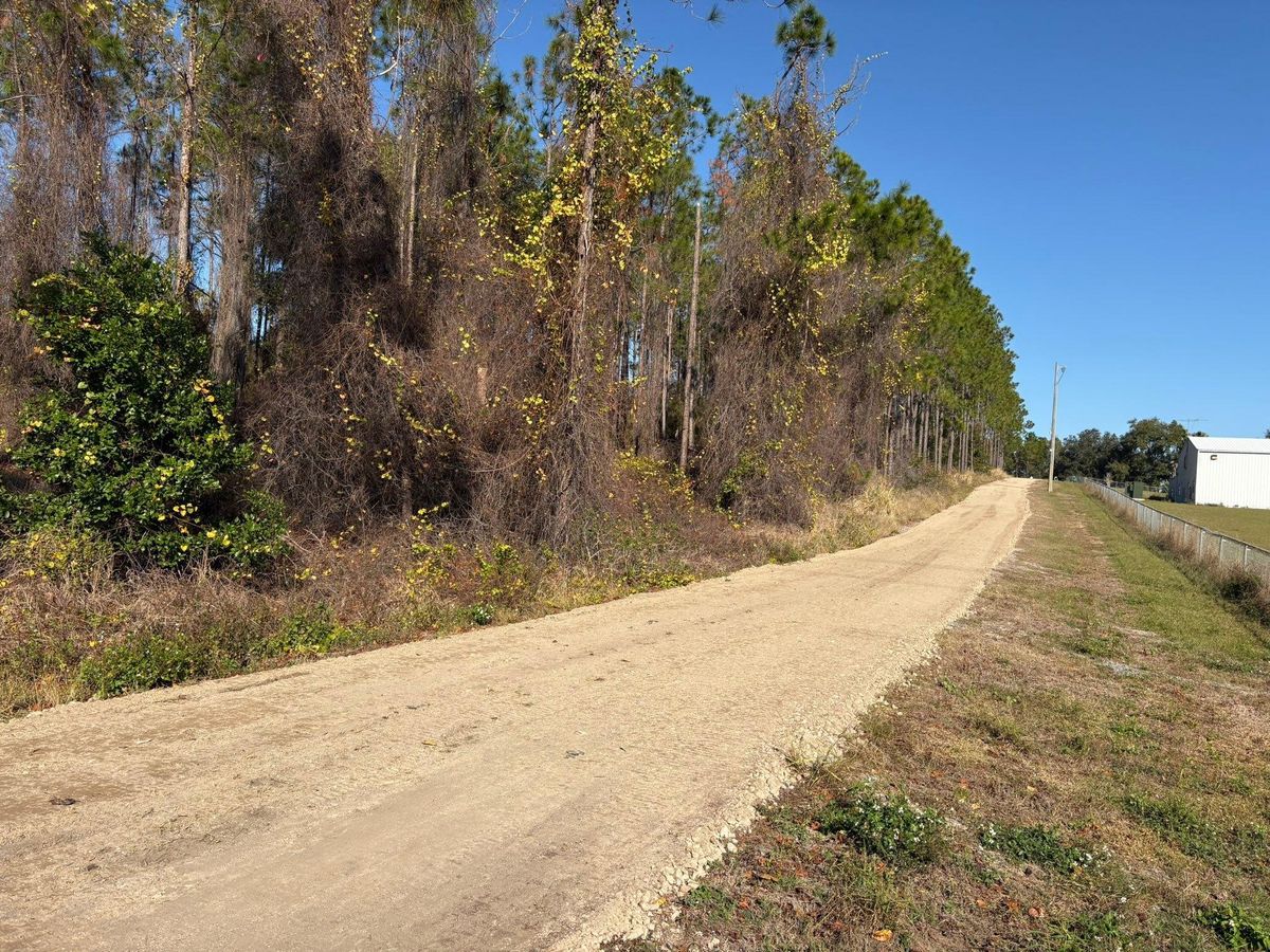 Land Grading for South Lake Loader Service in Minneola, FL