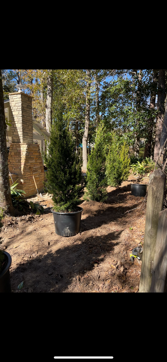 Shrub trimming, Property cleanup for Enhanced Landscape in Daphne, AL