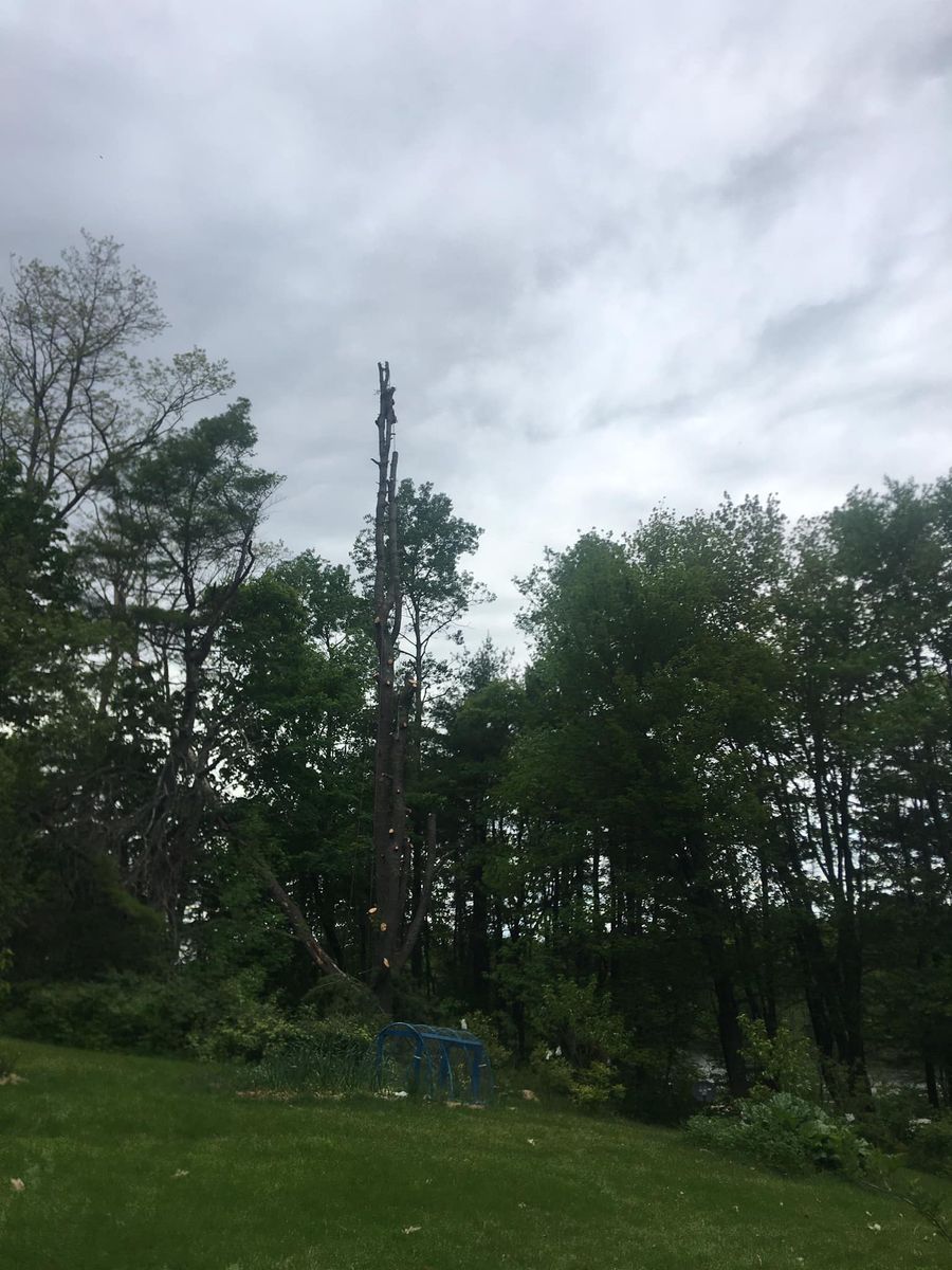 Tree Trimming for Green In Green Out Tree Services in Westbrook, ME