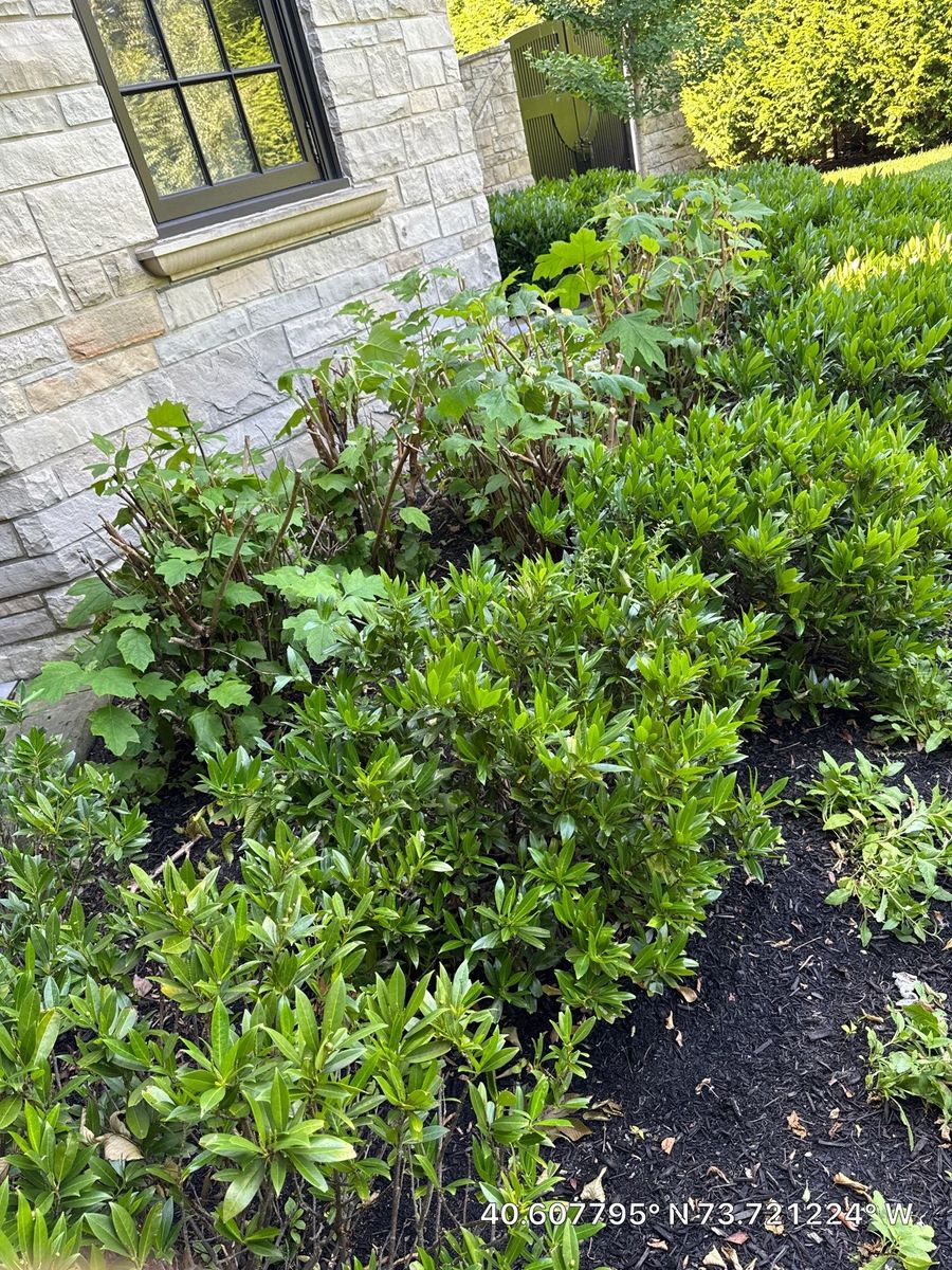 High End Residential Design & Install for Elegant Lawns & Landscaping in Inwood, NY