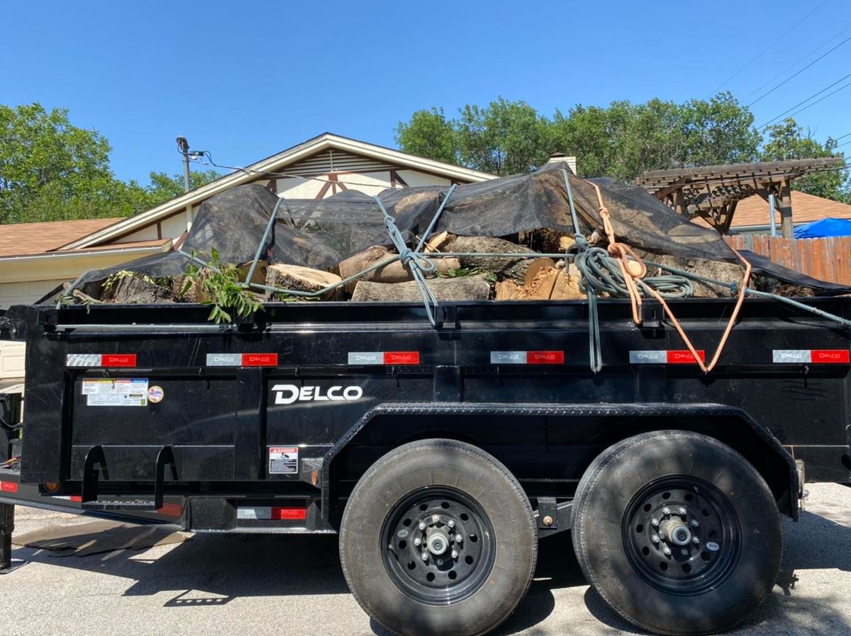 Stump Removal for Muniz Tree Service in North Richland Hills, TX