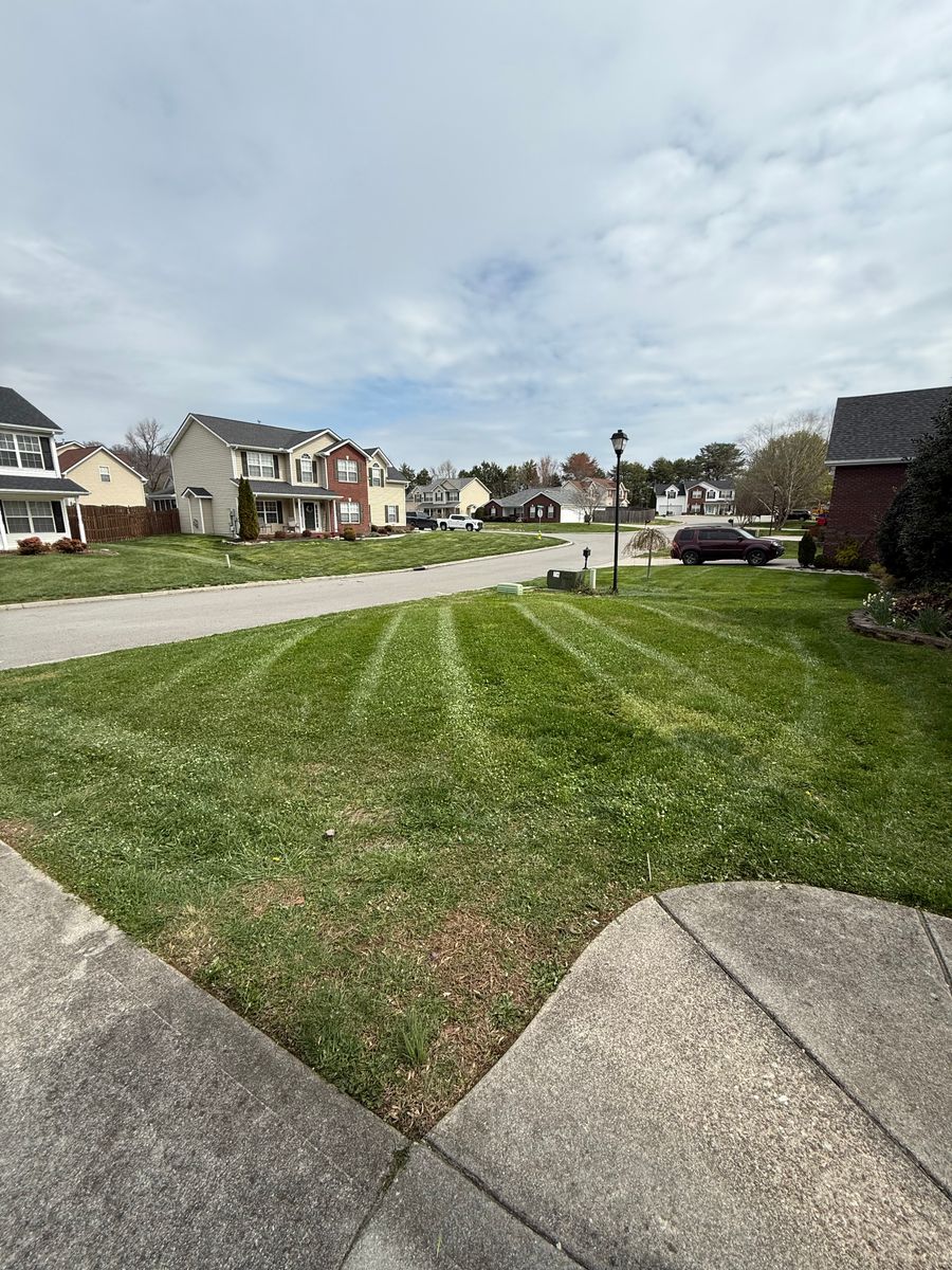 Lawn Care for Wesleys Landscaping in Clinton, TN
