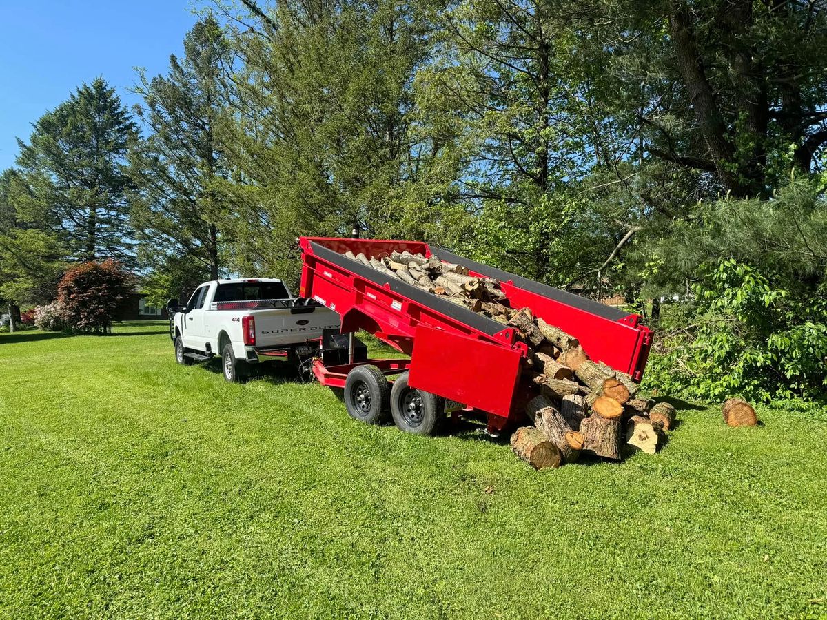 Stump Removal for Beckenbaugh Tree and Lawn Service in Lewistown, PA