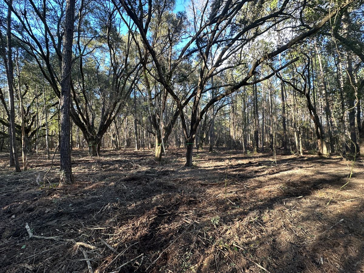 Land Clearing & Demolition for Platinum Construction llc in Pearl River, MS