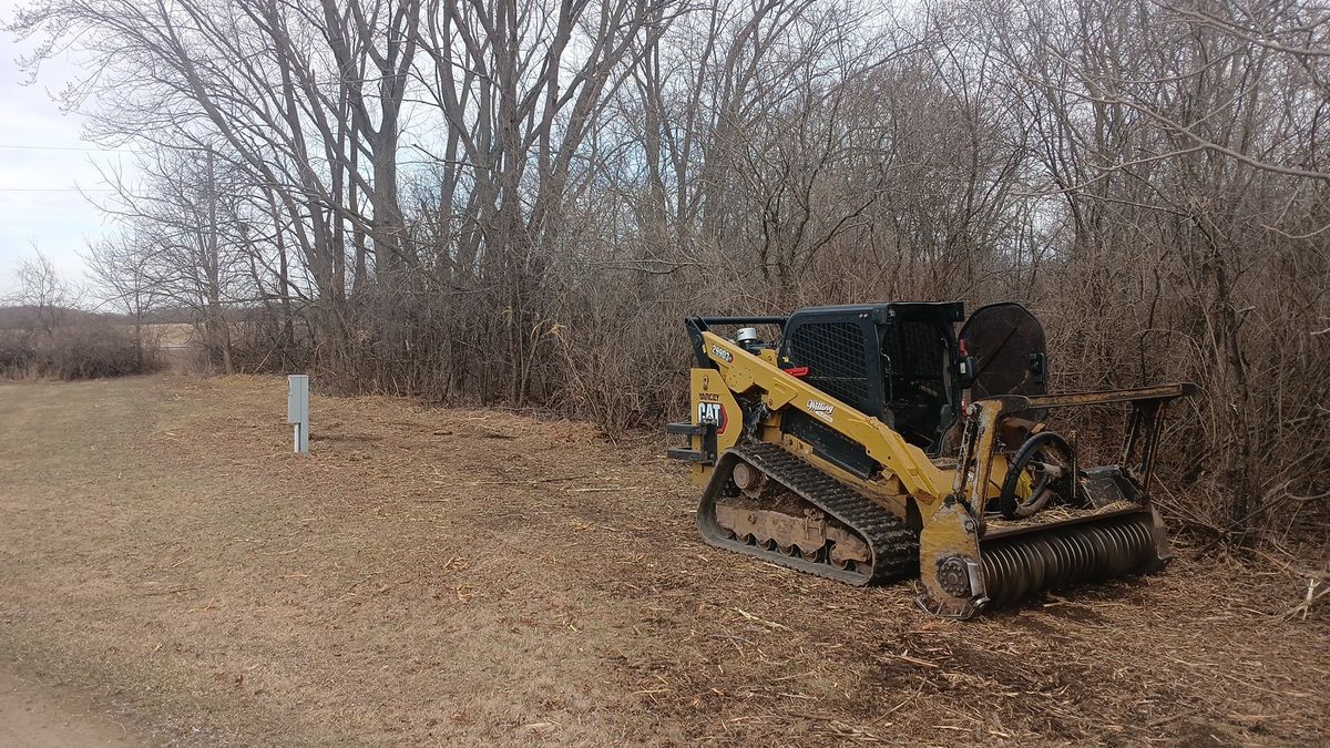 Land Clearing for Willing Trucking & Excavating in Evansville, WI