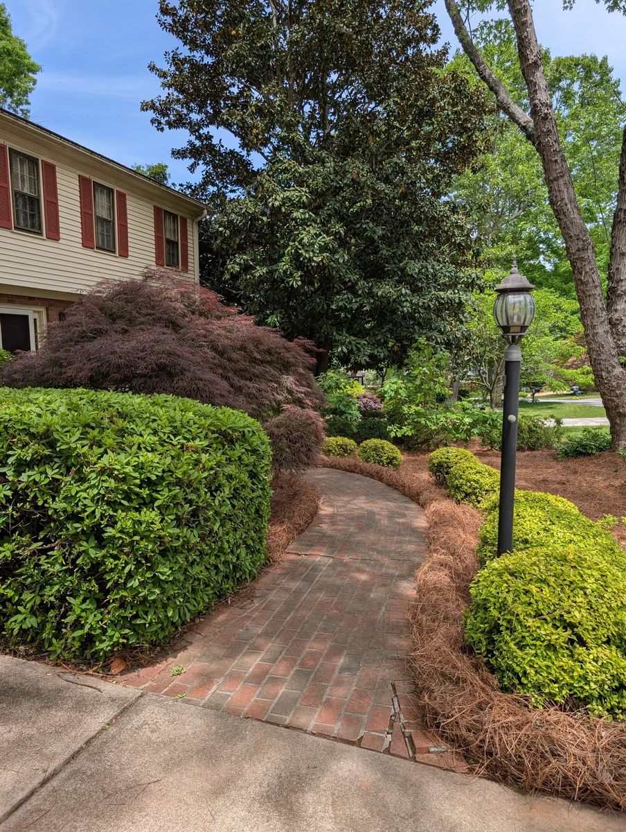 Shrub Trimming for Cody’s Lawn & Landscape in Greer, SC