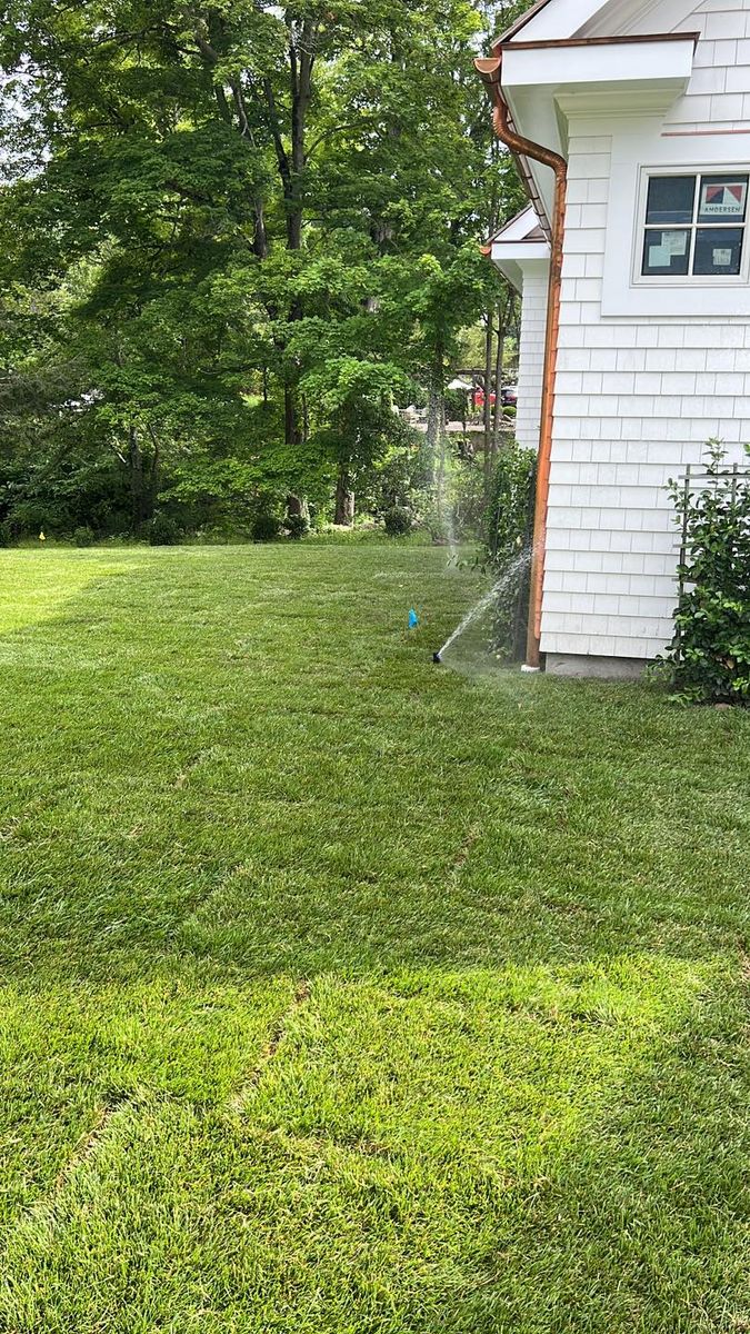 Irrigation System Maintenance for Freddy’s Irrigation in Plano, TX