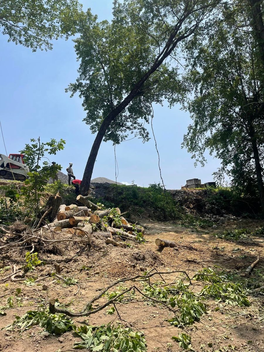 Tree Removal for Lucky’s Tree Removal and Landscape Services in Knoxville, TN