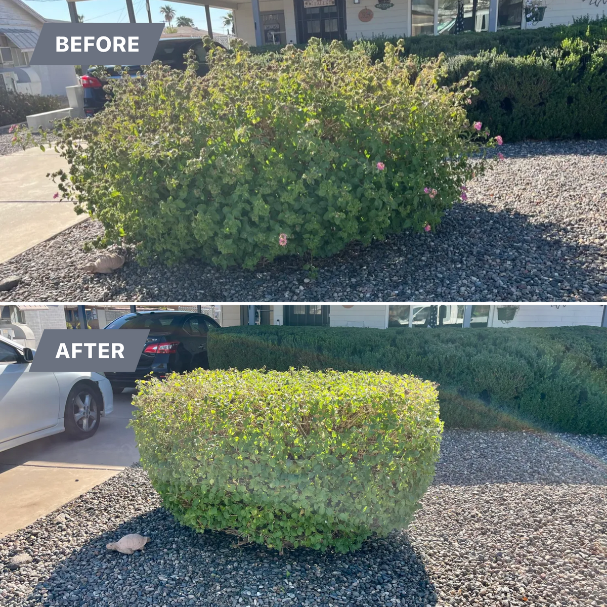 Residential Landscaping for Grand Canyon State Landscape Inc. in Surprise, AZ