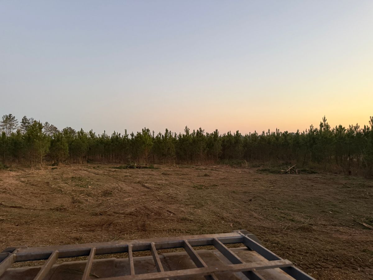 Land Clearing for T N L - Tree and Land Service in Reynolds, GA