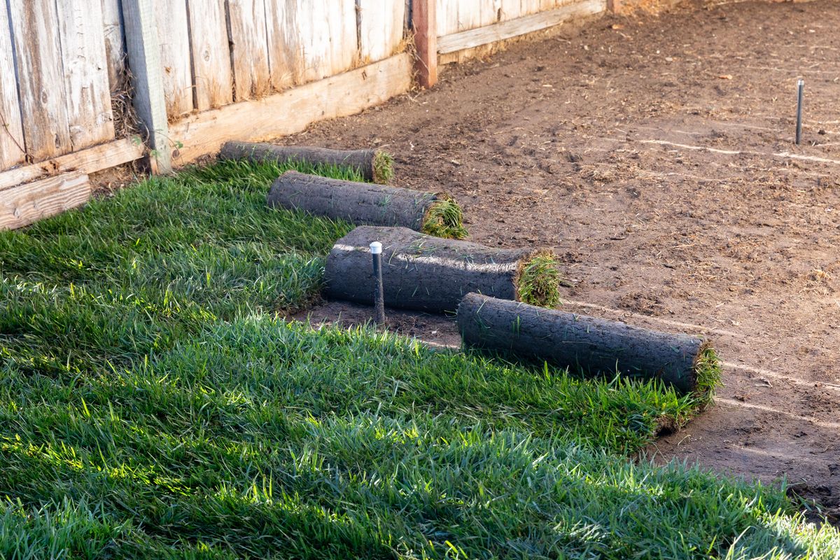 Sodding for Green Space Service LLC in Tyler, TX