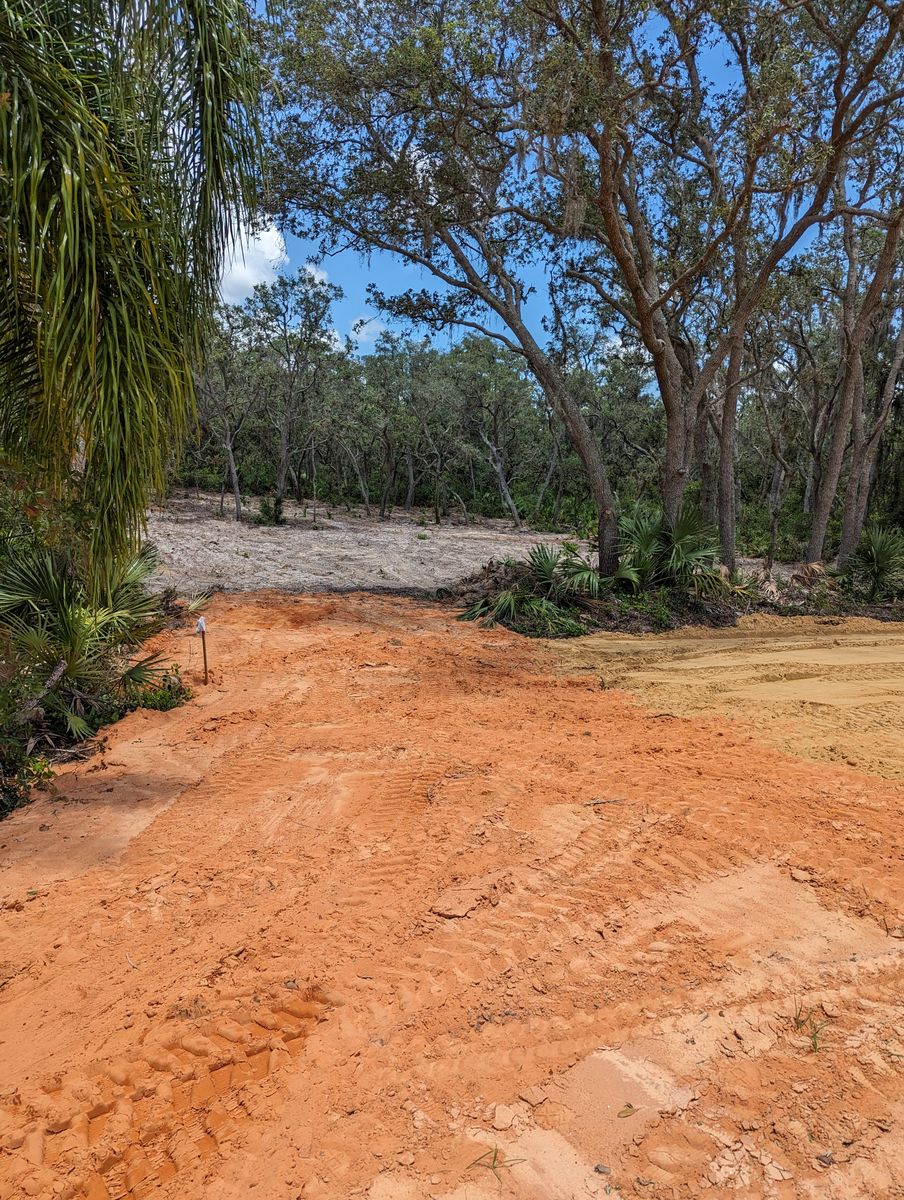 Land Clearing for Regal Tree Service and Stump Grinding in Wauchula, FL
