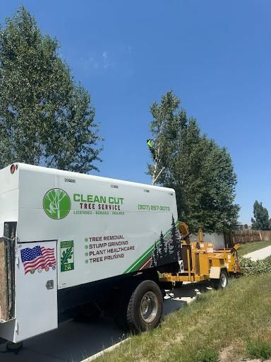 Tree Trimming for Clean Cut Tree Service in Gillette, WY