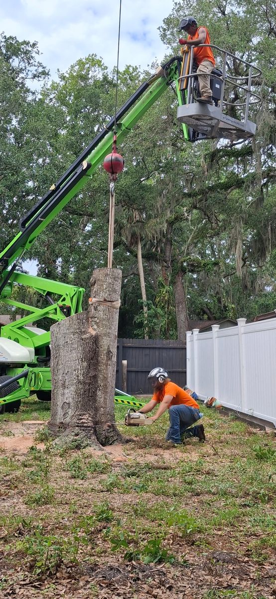 Tree Removal for Daniel Hickey’s Tree Service in DeLand, FL