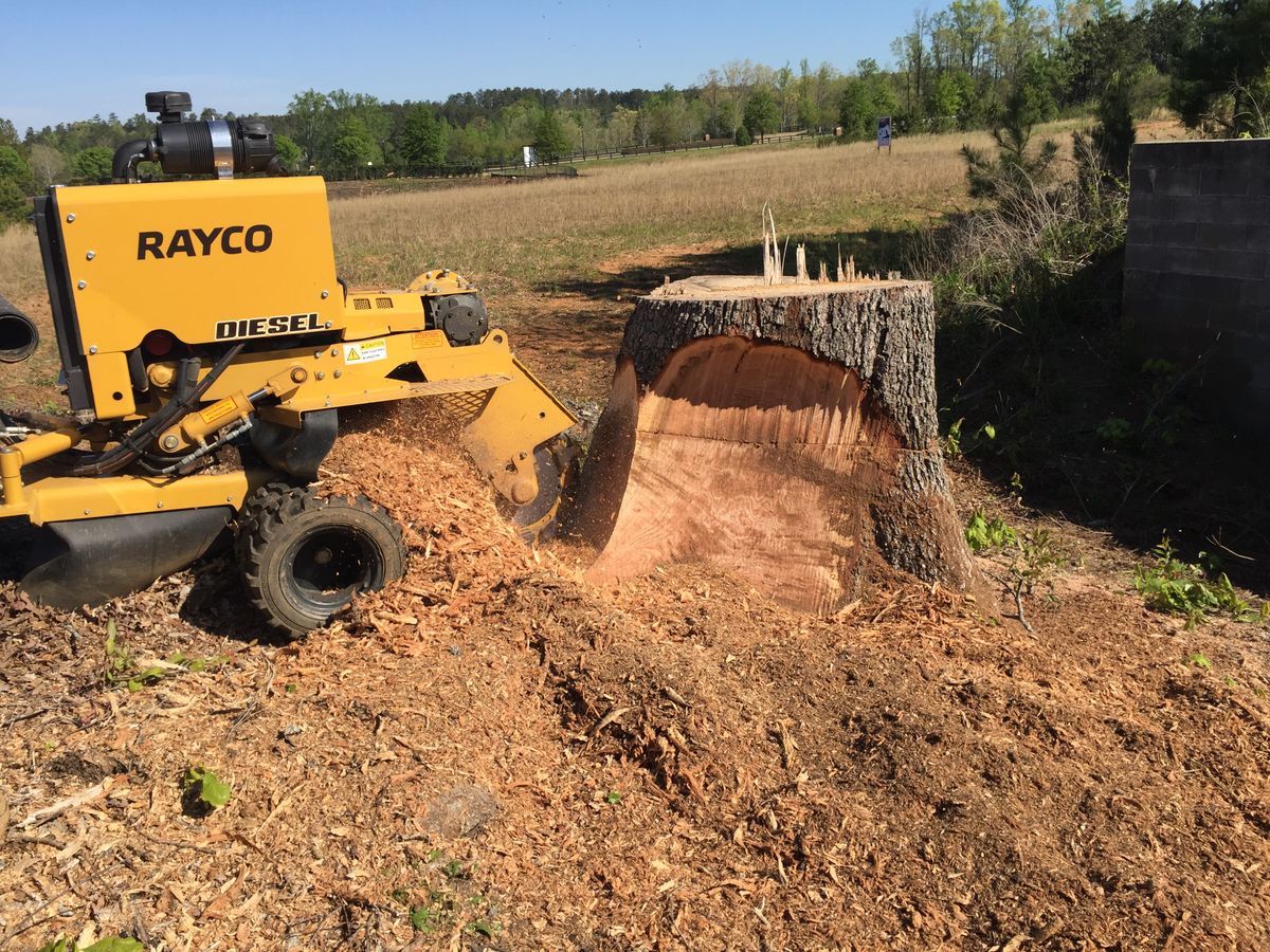 Tree Removal for M & J Tree Service & Stump Grinding in Auburn, GA