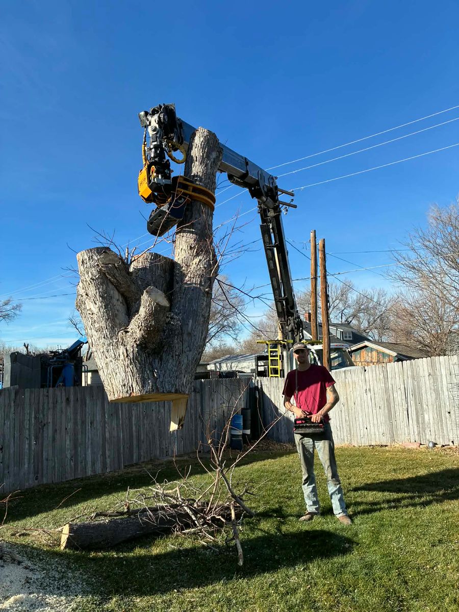 Stump Removal for SMH Tree Service in Atwood, KS