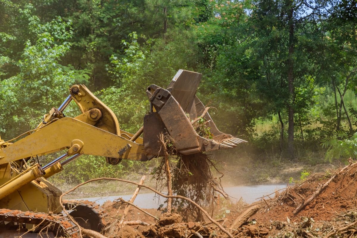 Commercial Land Clearing and Demolition for Benefield Dirt & Trucking in Monroe, LA