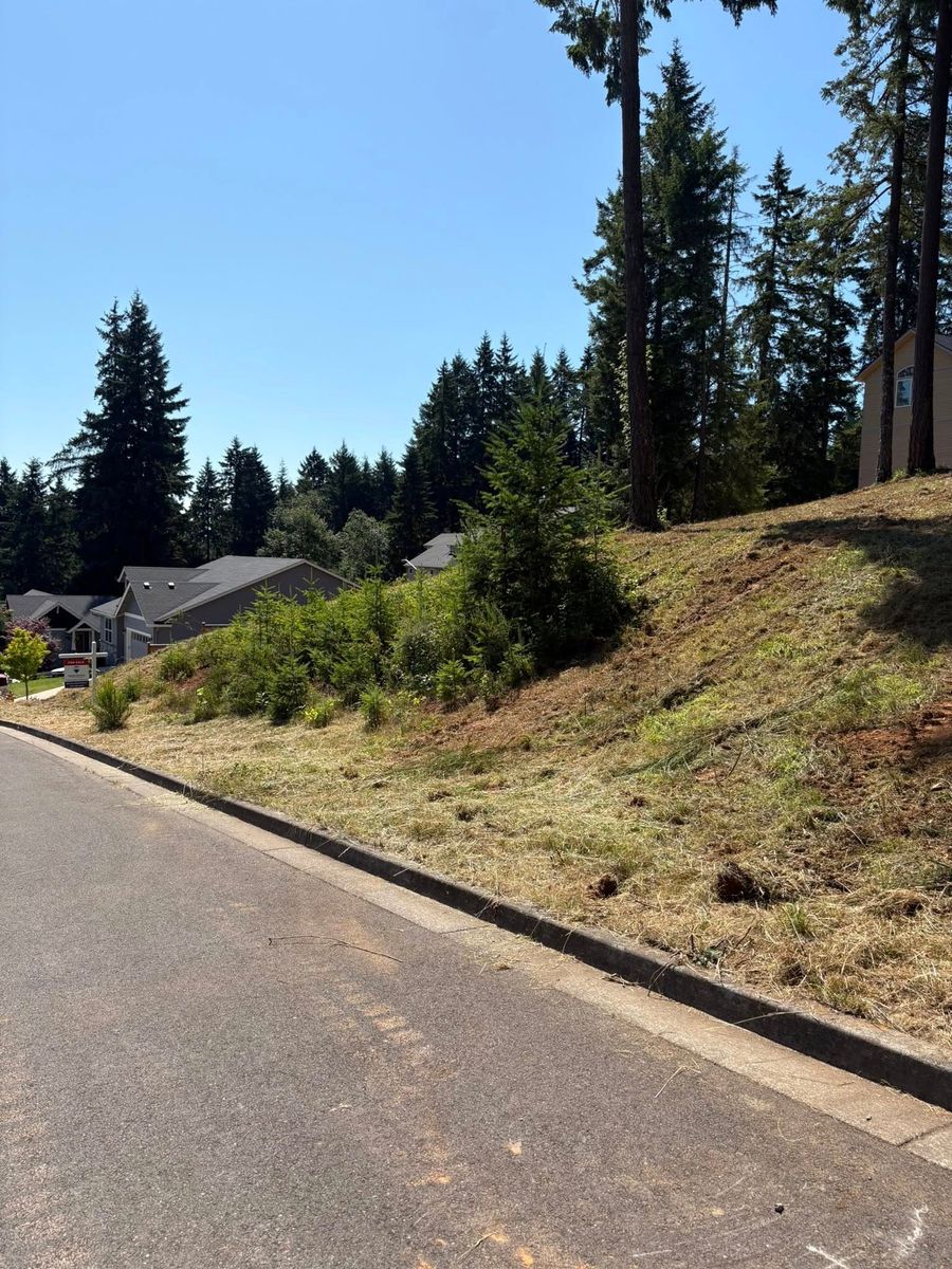 Land Grading for Limitless Excavation & Land Clearing in Eugene, OR