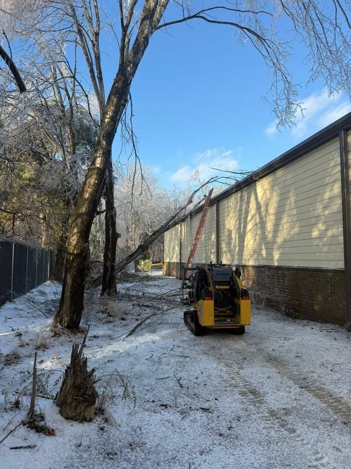 Tree Removal for Ross Family Tree Service LLC  in Hohenwald, TN