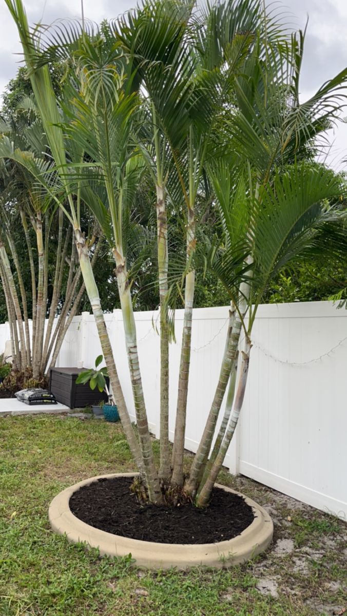 Landscaping & Outdoor Design for Space Coast Property Maintenance and Management LLC in Melbourne, FL