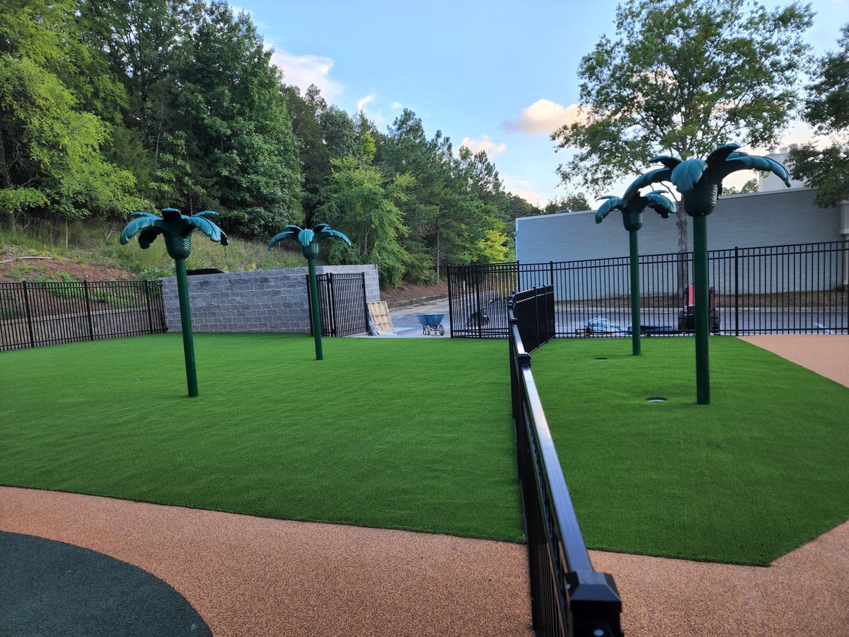 Artificial Turf For Pets for Elite Turfs in Concord, NC
