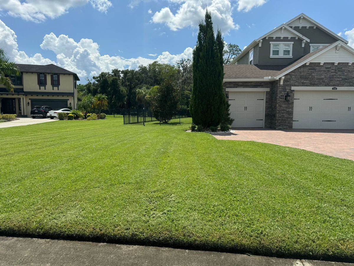 Lawn Aeration for MJK Landscaping LLC in Wesley Chapel, FL