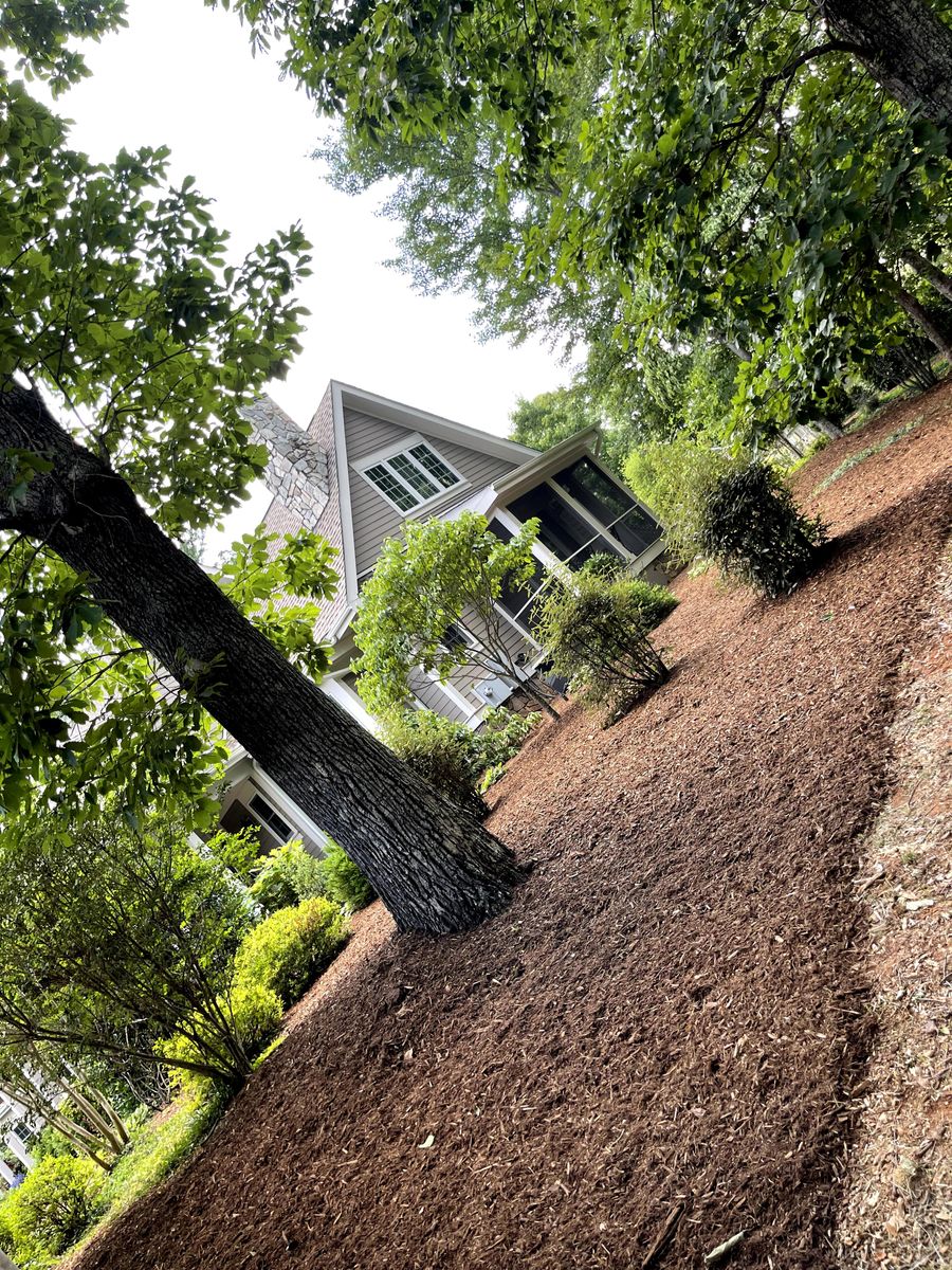 Mulch/Pine Needles for Hipp's Land Management in Tryon, NC