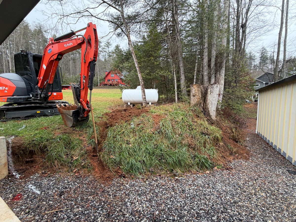 Tree Removal for C & D Landscaping Services, LLC in Blairsville, GA