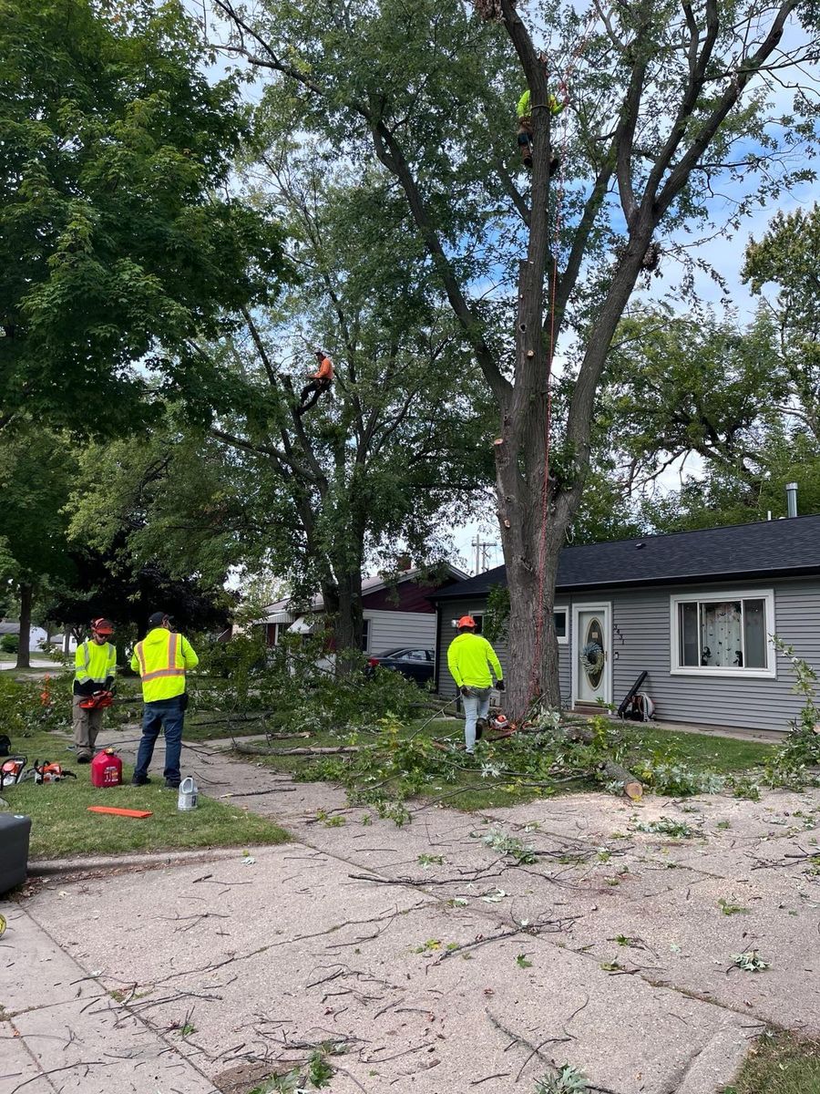 Tree Removal for Oakwood Tree Removal LLC in Oak Creek,  WI