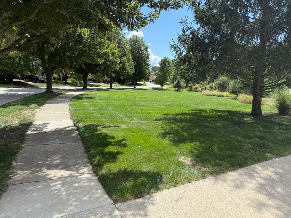 Mowing for Phillips Lawn Services in Ravenna, MI