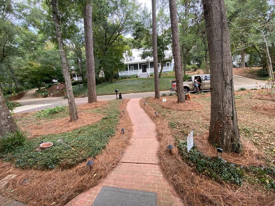 Fall Clean Up for Grasshopper's Lawn and Landscape  in fairhope, alabama