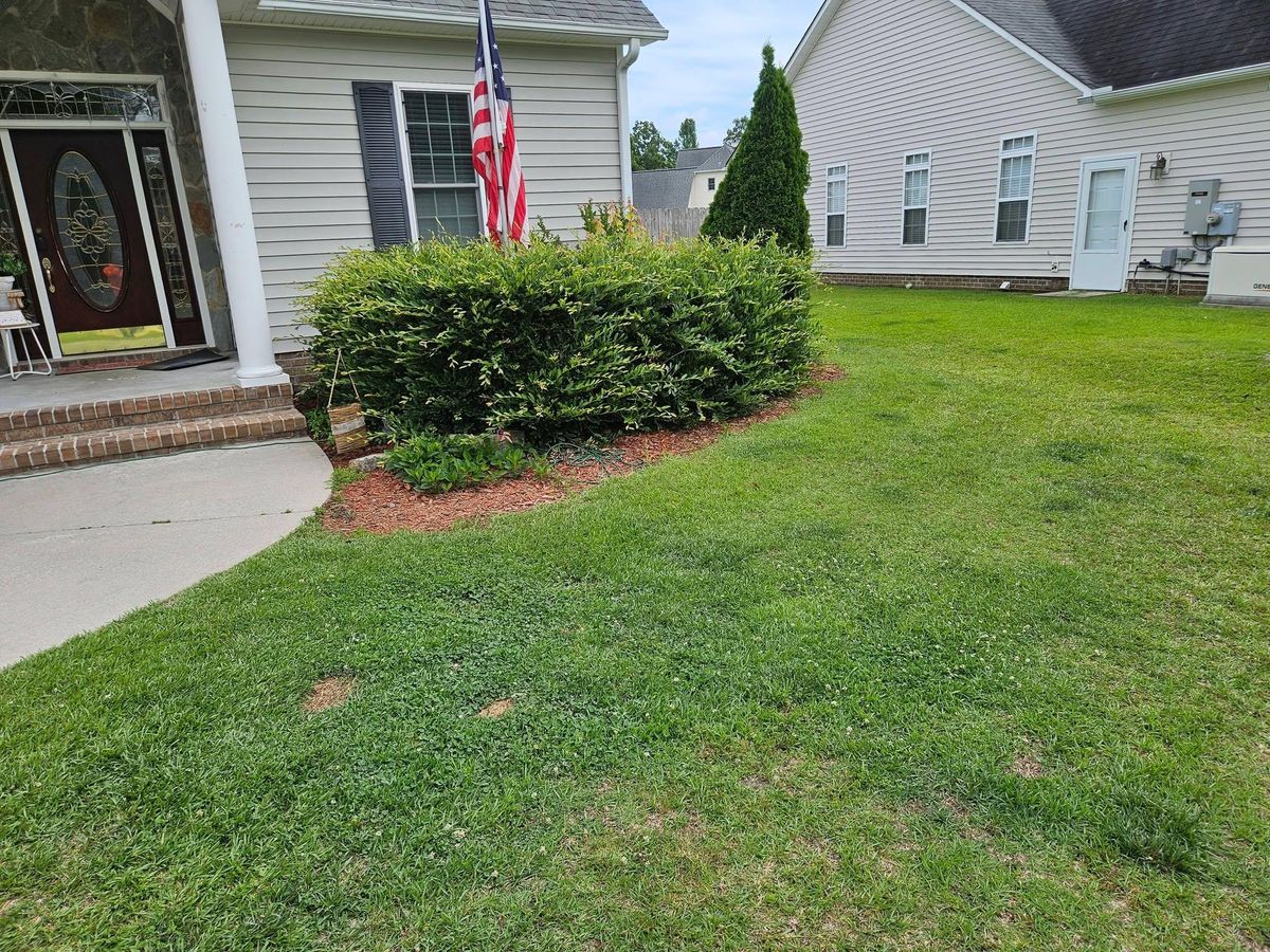Weed Trimming and Edging for Just Mow and Go Lawn Service, LLC in New Bern, NC