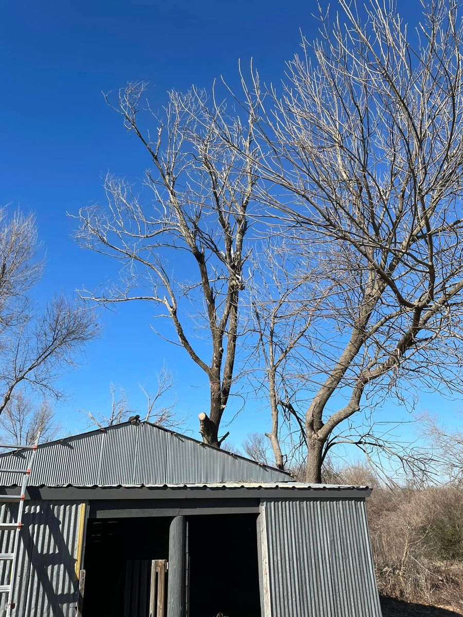 Tree Trimming & Removal for Stallion Design And Construction in Norman, OK