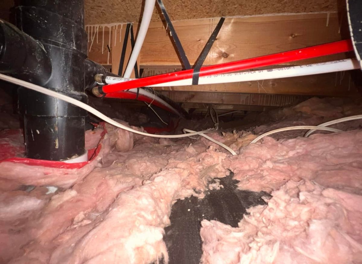 Crawl Space Maintenance for All Construction & Trapping in Shelby Township, MI