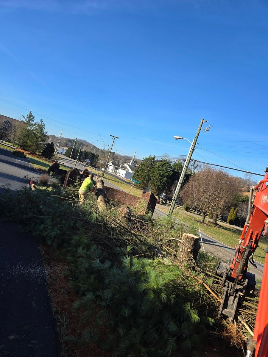 Tree Removal for M&L Lumber and Excavating in Jonesborough, TN