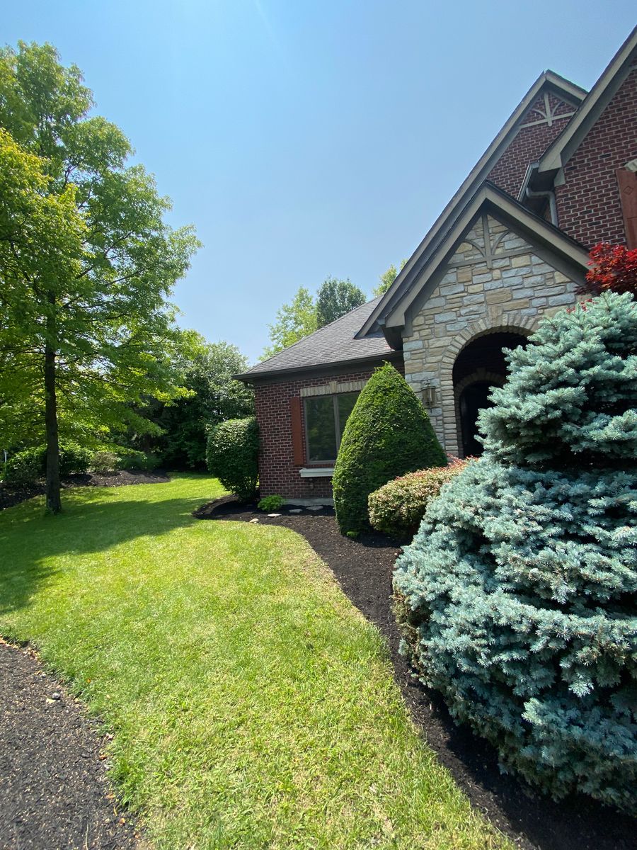 Shrub Trimming for Castle JR Landscaping & Painting LLC in Cincinnati, OH