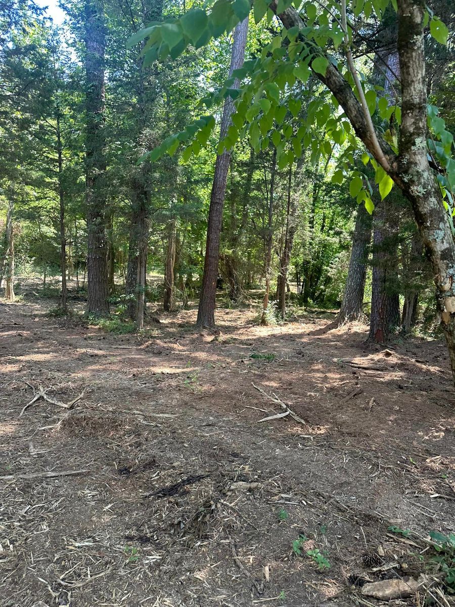 Tree Trimming & Removal for Miller Farms Hay & Land Management in Philadelphia, TN