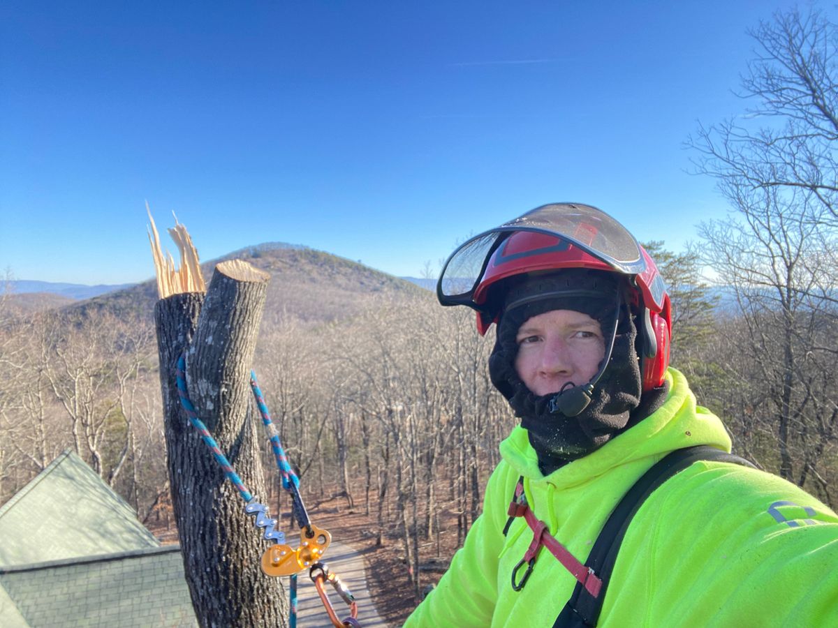 Tree Trimming for Pinedown LLC in Cherokee County, GA