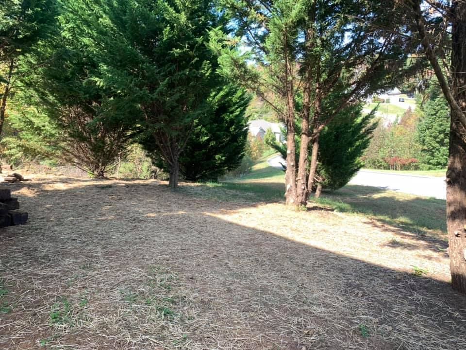 Forestry Mulching for Southeast Land Services in Cleveland, TN