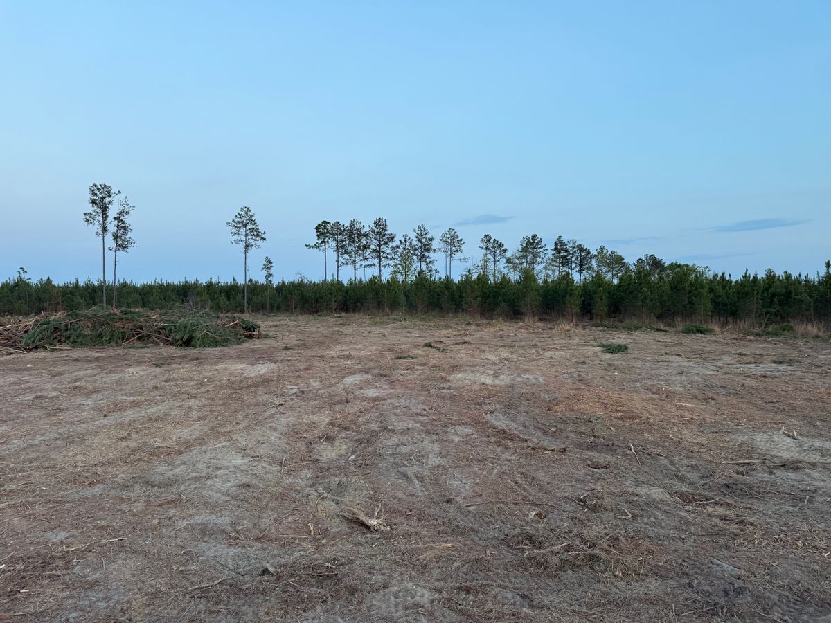 Land Clearing for T N L - Tree and Land Service in Reynolds, GA