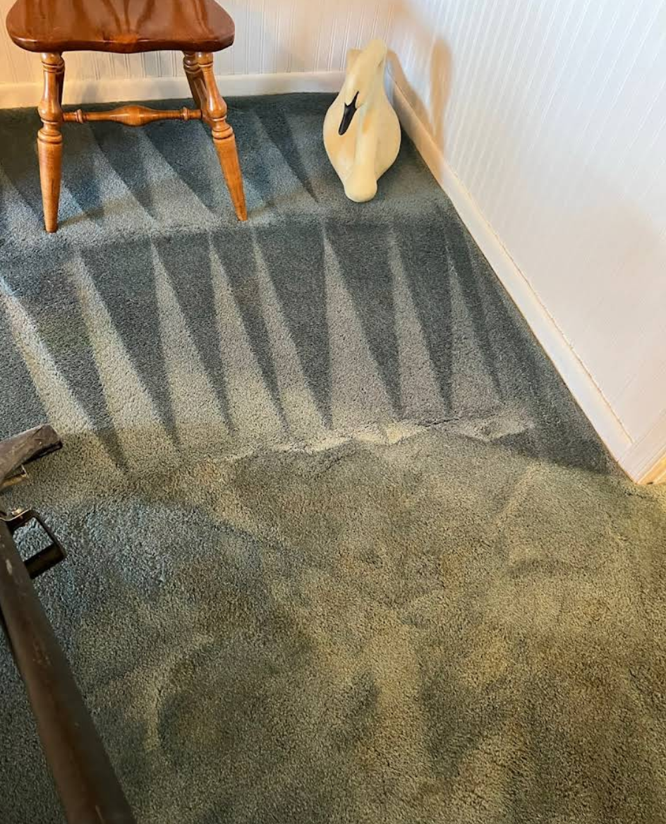 Deep Carpet Cleaning for Banderas Cleaning Service in Elsmere, DE