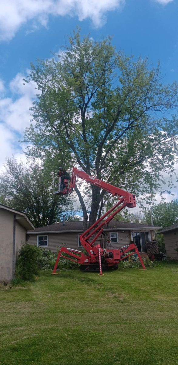 Tree Trimming for Lawn Ranger Yard And Tree Service LLC in Ottumwa, IA